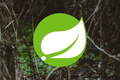 Guida Spring MVC