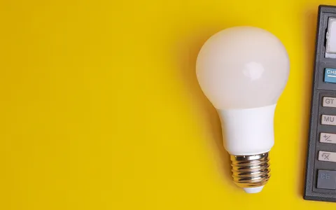 Offerta luce e gas a prezzo fisso: le tariffe competitive di Octopus