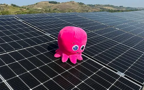 Octopus Energy: l’offerta Luce 100% rinnovabile per la tua casa
