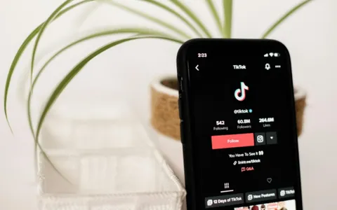 TikTok: l'app più popolare è una potenziale minaccia per molti stati