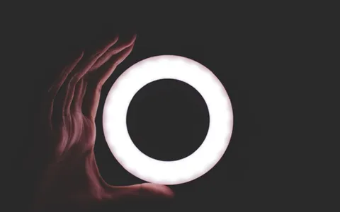 Offerta luce e gas: ecco quanto si risparmia con Octopus Fissa 12 Mesi