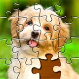 Puzzle - rompicapo in italiano