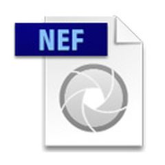 nef-1860
