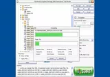 Advanced Encryption Package 2008 Professional
