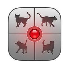 Traduttore ciao-miao