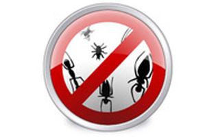 vista_anti_spyware_icon_by_hiero_nymus