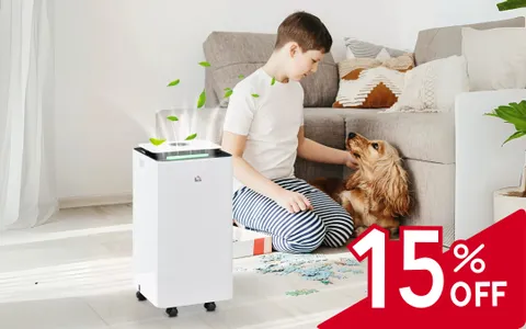 Deumidificatore da 12 litri: rende sana l'aria di tutta la tua casa