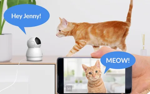 Videocamera da interno YI Dome Guard a meno di 30 euro su Amazon