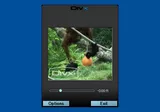 DivX Mobile Player