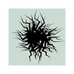 PolyFauna