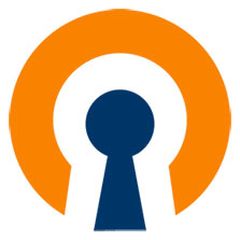 openvpn