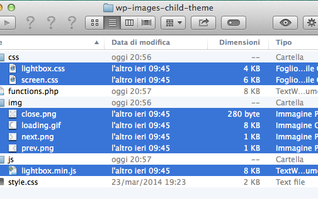 child-theme_structure