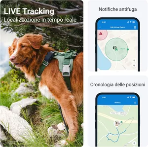Con questo Localizzatore GPS per Cani IN OFFERTA saprai sempre dov