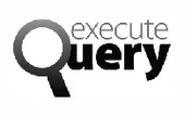 Execute Query