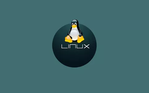 Linux Mint 22 “Wilma” sarà basato su Ubuntu 24.04 LTS
