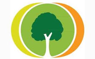 family_tree_builder