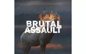 Brutal Assault