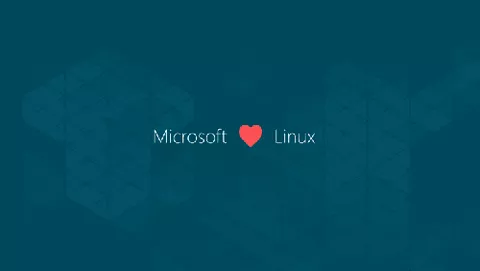 Windows vs Linux: criteri per la scelta
