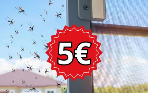 SOLO 5€ per il Nastro Adesivo per la riparazione di Zanzariere: immancabile in ogni casa!