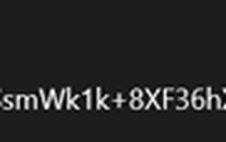 sicurjs04