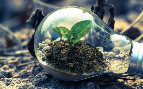 Offerte luce e gas Sorgenia: energia verde e sconti fino a 150€ per la tua casa