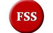 FSS Video Converter