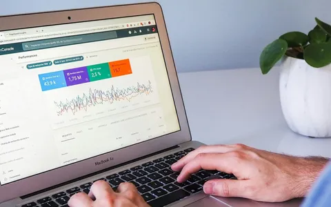 Google Search Console include visualizzazione 