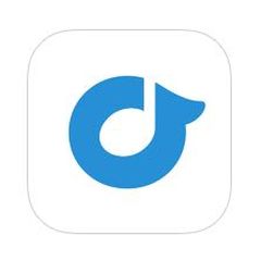 Rdio mobile
