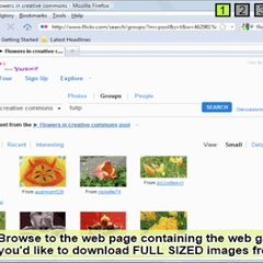 screenshot_66a78167bbcc3247.jpg