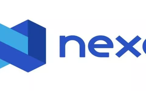 Criptovalute al sicuro con Nexo: il conto corrente vantaggioso che stavi cercando