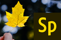 Adobe Spark: la grafica web-based
