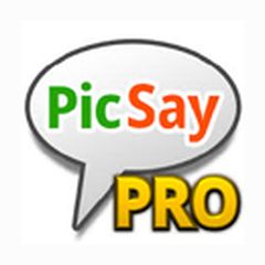 picsay_logo