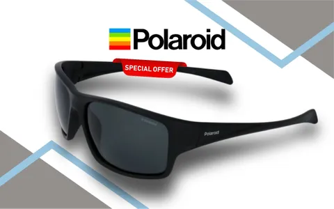 MAI COSì BASSI: Occhiali da sole Polaroid a prezzo minimo storico su eBay!