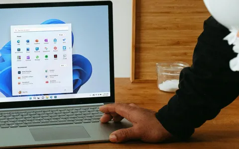 ViVeTool: utility ottiene il supporto per Windows 11 24H2
