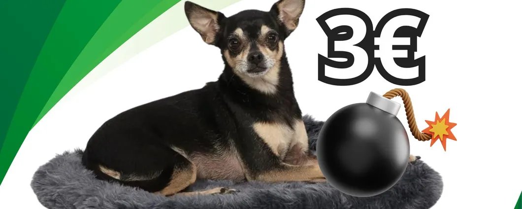 FOLLIA: solo 3€ per il LETTO IMBOTTITO per cani e gatti con il MEGA SCONTO (-54%)
