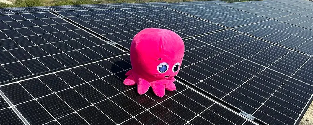 Octopus Energy: l’offerta Luce 100% rinnovabile per la tua casa