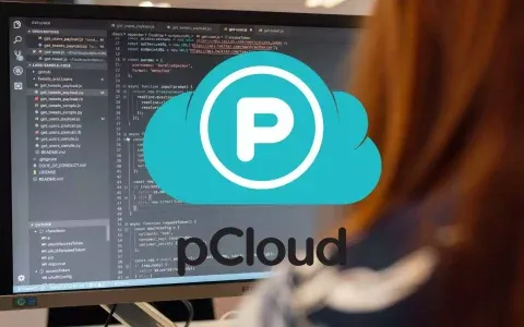pCloud: il cloud storage europeo più sicuro con offerte imperdibili