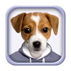 bfp