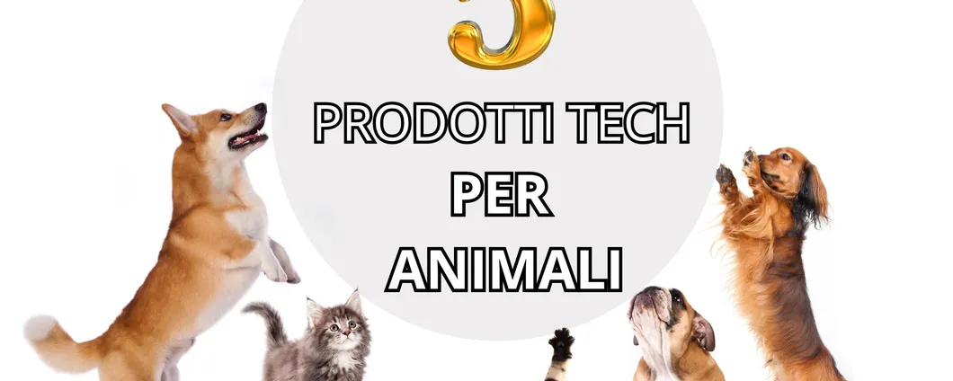 5 PRODOTTI TECH per Animali per migliorare la tua e la loro vita!