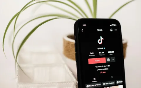 TikTok: promosso un nuovo strumento di 
