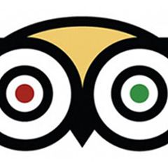 tripadvisor-300×199