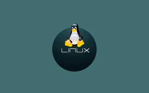 Linux Mint 22: Thunderbird arriverà come pacchetto DEB nativo