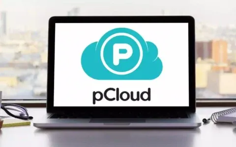 Archiviazione cloud sicura e senza abbonamenti? Si, con pCloud