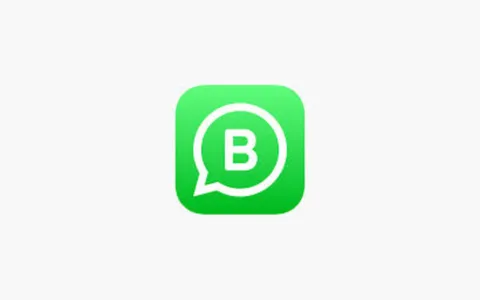 WhatsApp Business cambia icona e si differenzia dall'app base