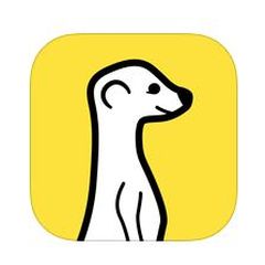 Meerkat