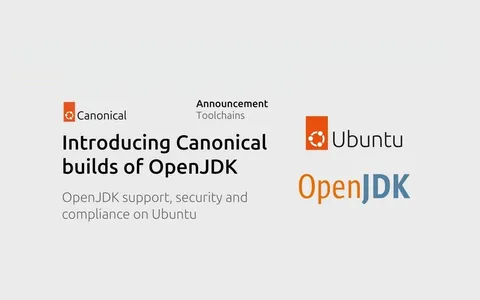 Java: Canonical rende disponibili le proprie build di OpenJDK