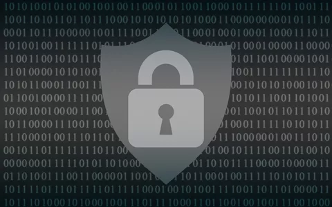 Ransomware: dati rubati pubblicati su un sito clone