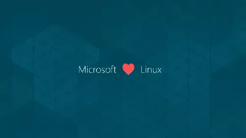 Windows vs Linux: criteri per la scelta