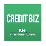Credit BIZ
