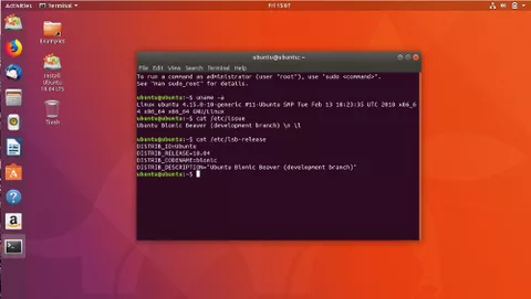Ubuntu 19.04 